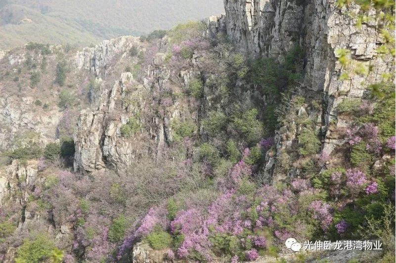 永信贵宾会217·(中国区)官网