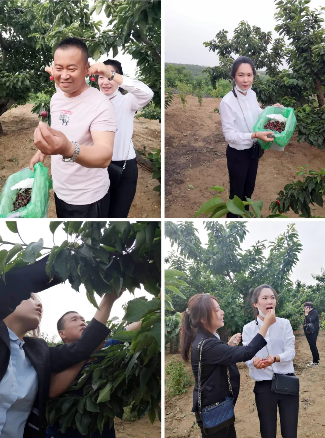 永信贵宾会217·(中国区)官网