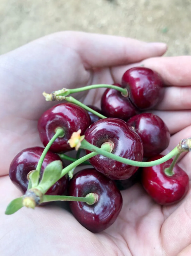 永信贵宾会217·(中国区)官网