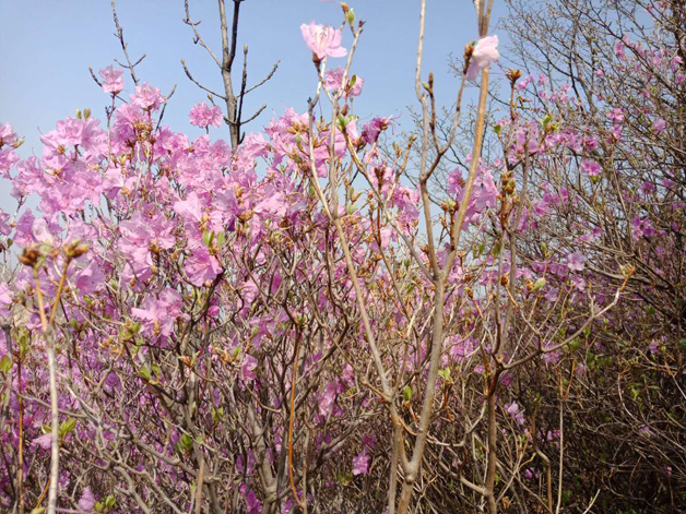 永信贵宾会217·(中国区)官网